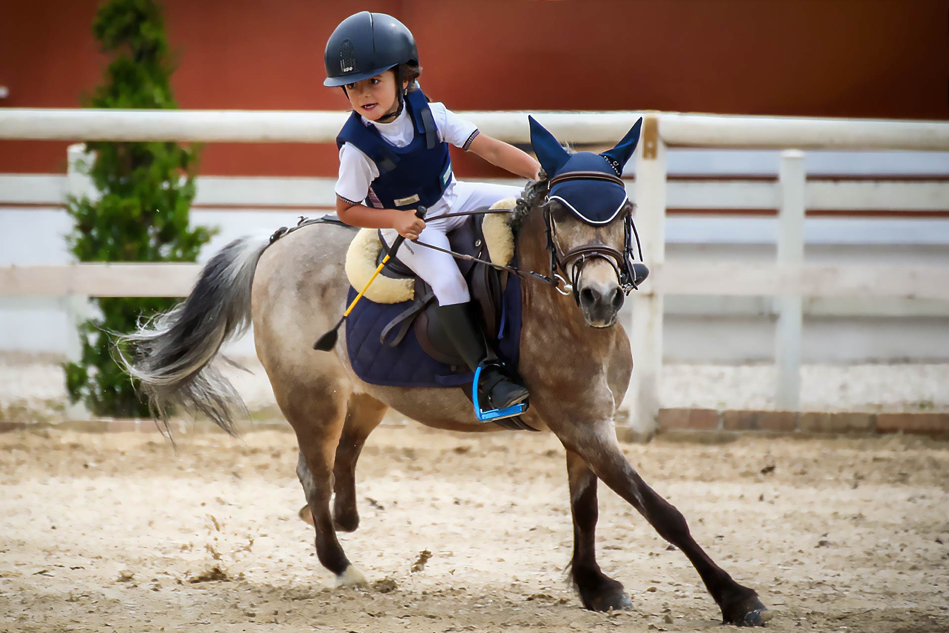 Venice Children safety stirrups for young riders — small size equestrian stirrups