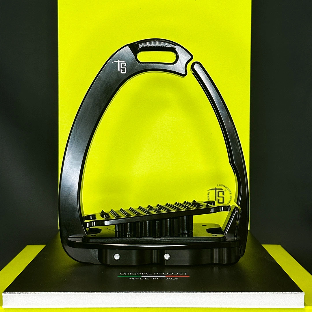 Venice Para-Dressage — view 3